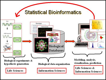Bioinformatics_doerge_080304